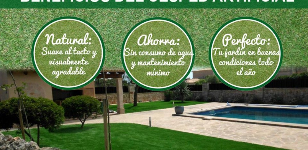 Servicios de Jardineria Anima Verda